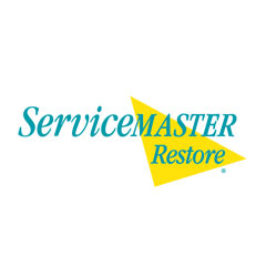 Service Master Restore